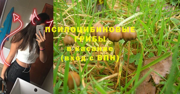 MESCALINE Няндома