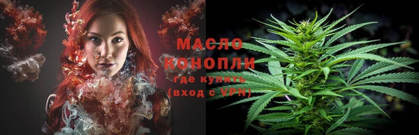 прущие грибы Новокубанск