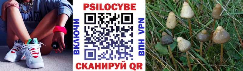 Псилоцибиновые грибы ЛСД  мега tor  Елец 