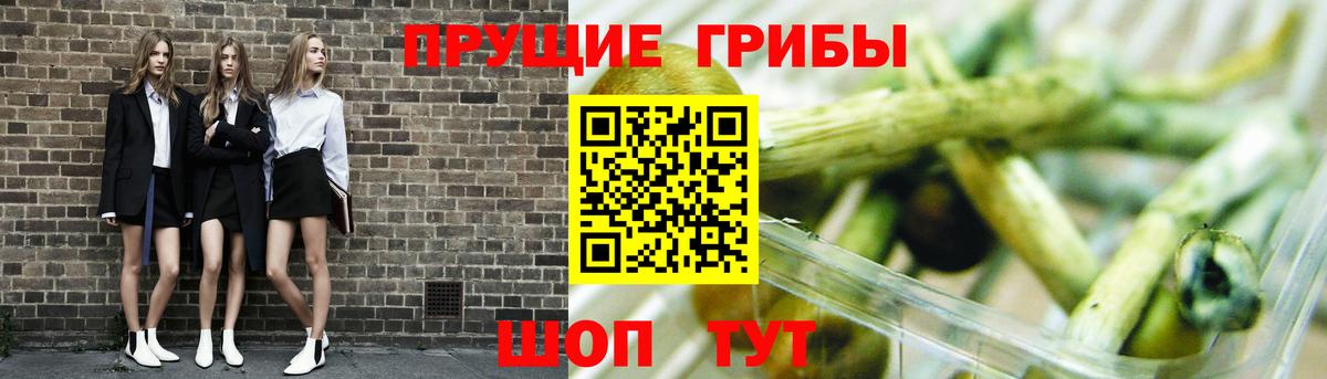 Галлюциногенные грибы мухоморы Елец